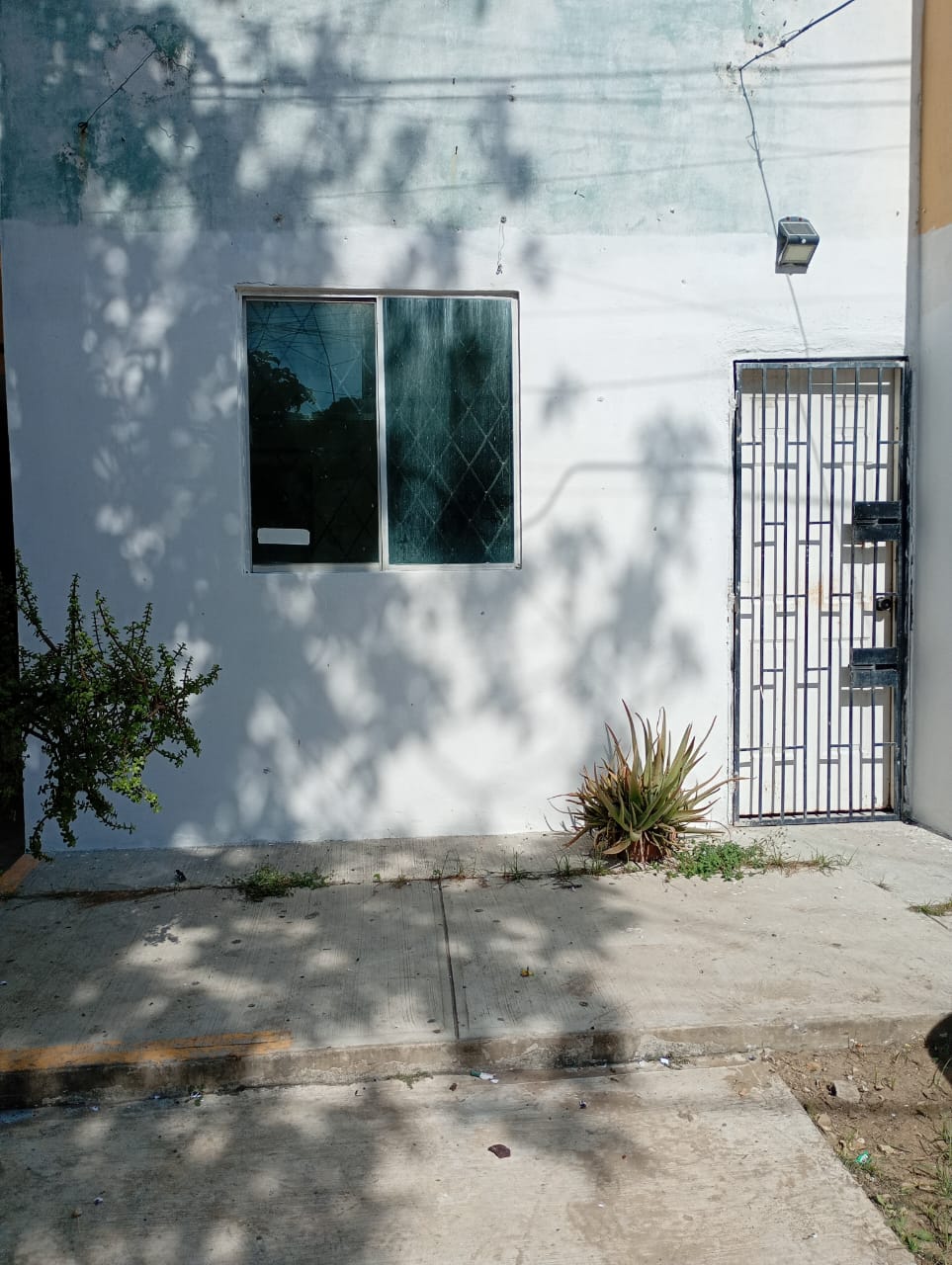 8d4e80d7-650f-428a-8b25-7772bbc25894